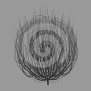 Tumbleweed drawing vector