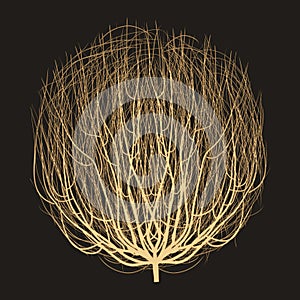 Tumbleweed drawing vector