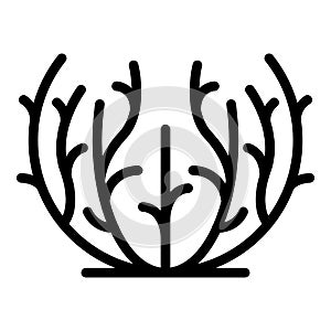 Tumbleweed grass icon outline vector. Desert ball