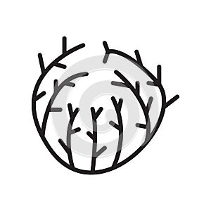 Tumbleweed icon vector sign and symbol isolated on white background, Tumbleweed logo concept