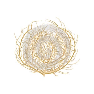 Tumbleweed illustration .