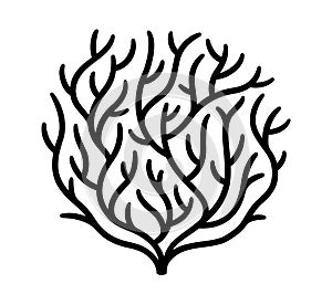 Tumbleweed or thorn bush black and white drawing