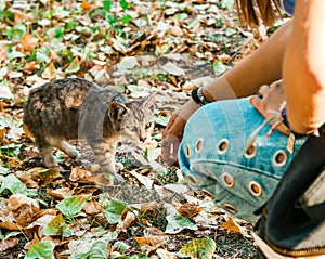 Tumblr Girl with Cat photo