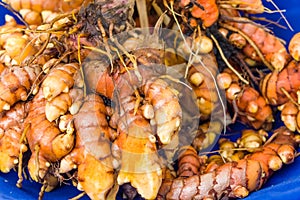 Tumeric root on display at the market