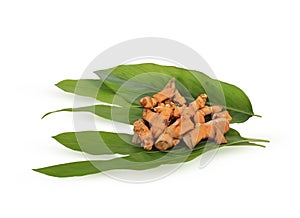 Tumeric ( Turmeric ) root with cut slice and green leaf isolated on white background