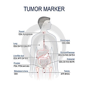 Tumor marker or biomarker. photo