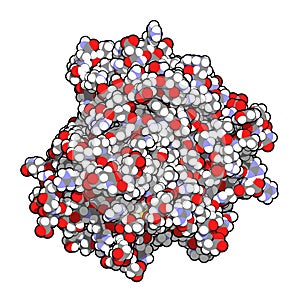 Tumor necrosis factor alpha (TNF) cytokine protein molecule, 3D rendering. Clinically used inhibitors include infliximab,