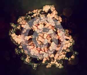 Tumor necrosis factor alpha (TNF) cytokine protein molecule, 3D rendering. Clinically used inhibitors include infliximab, photo