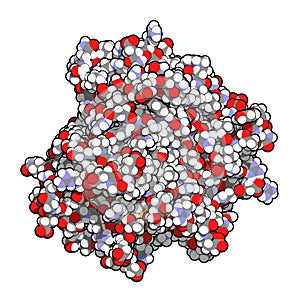 Tumor necrosis factor alpha (TNF) cytokine protein molecule, 3D rendering. Clinically used inhibitors include infliximab, photo