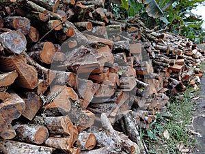 tumpukan potongan kayu di hutan.