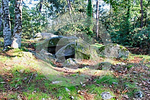 tumulus in the park in france