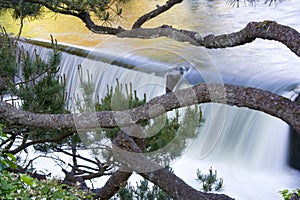 Tumwater Falls 05/18/06