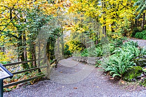 Tumwater Falls Park Path 5
