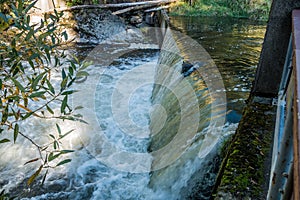 Tumwater Falls Water Curtain