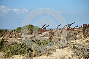 Tuna and anchors museum in Praia do Barril beach in the Ria Formosa natural park in Luz de Tavira photo