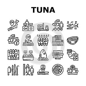 Tuna Auction Tsukiji Market Collection Icons Set Vector