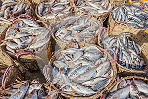 Tuna in basket at Long Hai fish market
