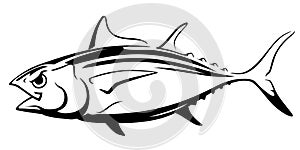 Tuna Big Eye Fish Calligraphic Style Illustration