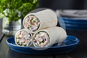 Tuna burritos with cucumber red onion and mayonnaise