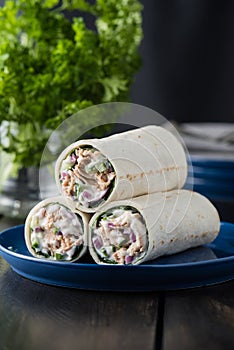 Tuna burritos with cucumber red onion and mayonnaise