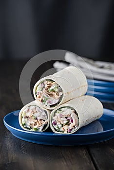 Tuna burritos with cucumber red onion and mayonnaise