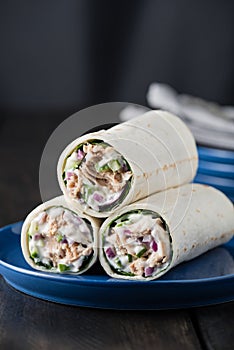 Tuna burritos with cucumber red onion and mayonnaise