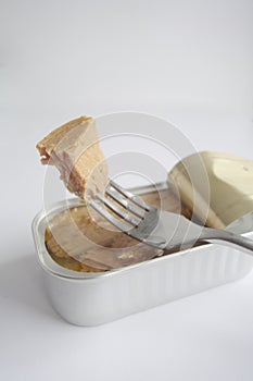 Tuna in can