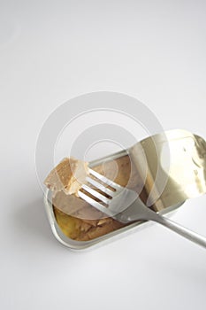 Tuna in can