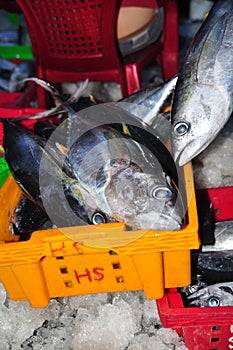 Tuna are collecting and sorting into baskets after a long day fishing in the Hon Ro seaport, Nha Trang city