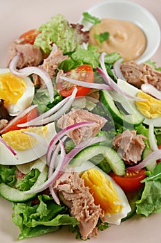 Tuna And Egg Salad 2