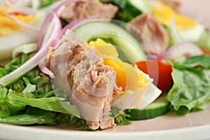 Tuna And Egg Salad