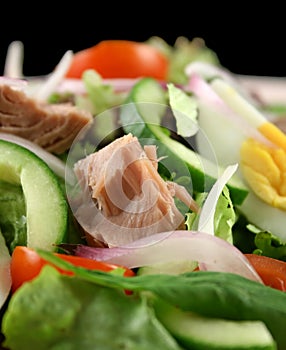 Tuna And Egg Salad