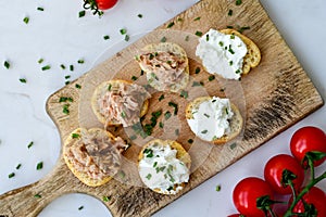 Tuna fish Bruschetta sandwich with cottage cheese