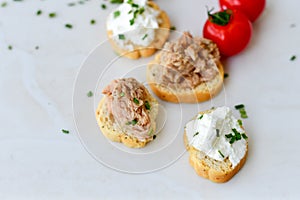 Tuna fish Bruschetta sandwich with cottage cheese