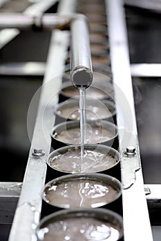 Tuna fish in can processing in factory