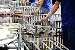 Tuna fish in can processing in manufactory