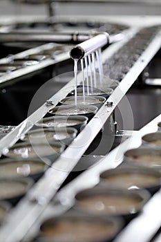 Tuna fish in can processing in manufactory