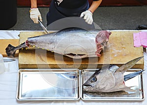 Tuna fish cutting