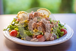 Tuna fish with green salad and tomatos