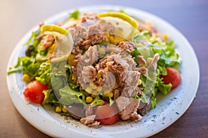 Tuna fish with green salad and tomatos