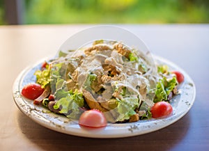 Tuna fish with green salad and tomatos