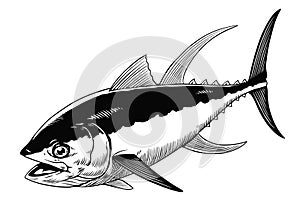 Tuna Fish Illustration Hand Drawn Vintage Style