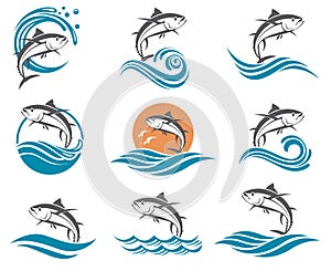 Tuna fish illustrations set