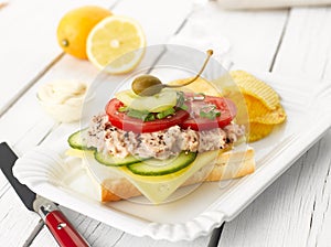 Tuna Fish Salad Sandwich