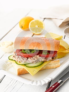 Tuna Fish Salad Sandwich