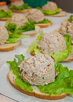 Tuna fish sandwiches