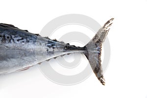 Tuna fish tail