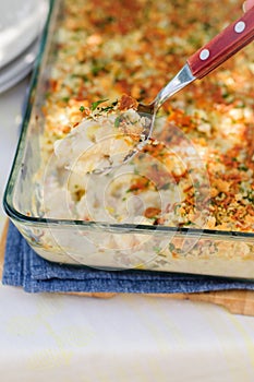 Tuna, Leek, Mornay and Orange Pasta Bake (Macaroni and Cheese)