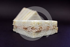 Tuna Mayo Sandwich