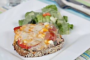 Tuna melt with side salad. photo